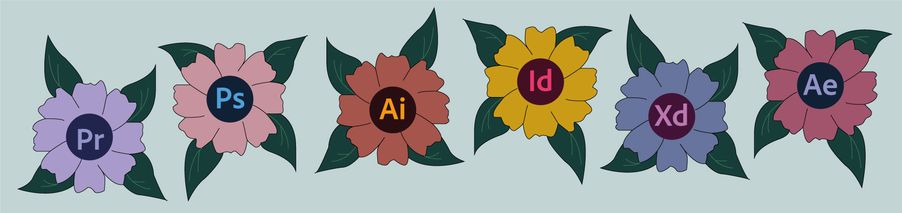 adobe programmer